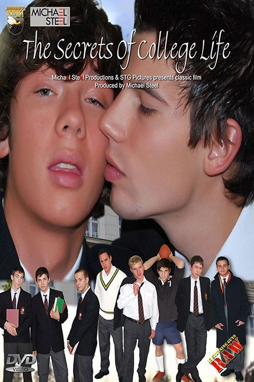 The Secrets Of College Life (2012) poster