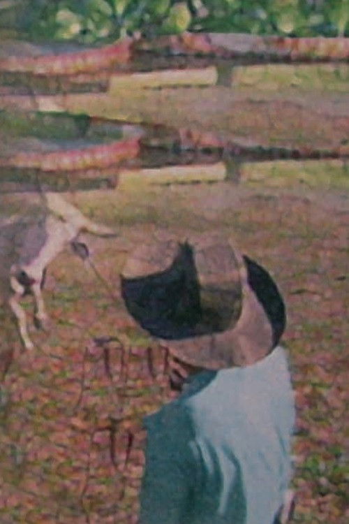 Pantanal: The Waters of Life (1997) poster