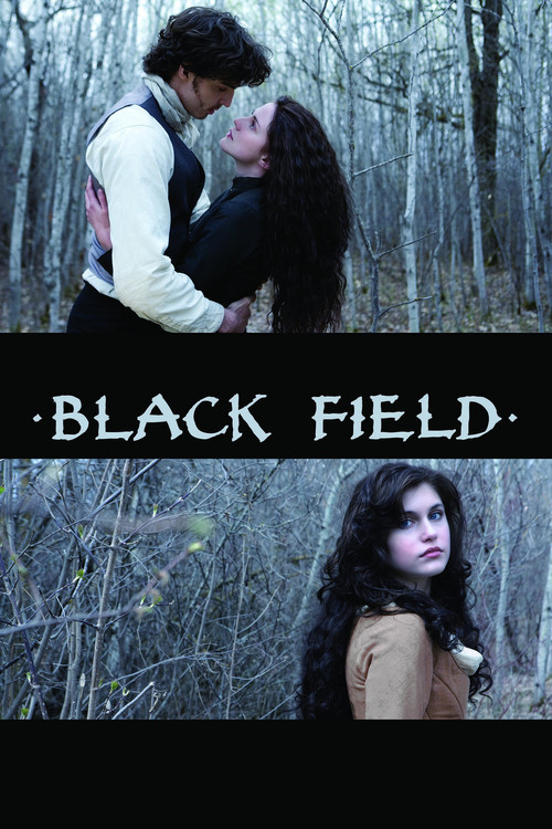 Black Field (2009) poster
