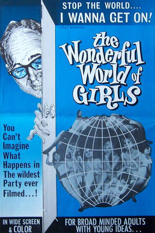 The Wonderful World of Girls (1965) poster