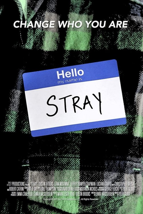 Stray (2015) poster