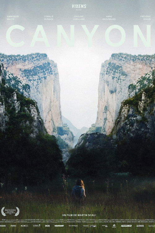 Canyon (2020) poster