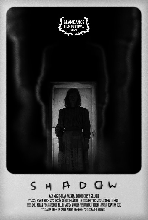 Shadow (2024) poster
