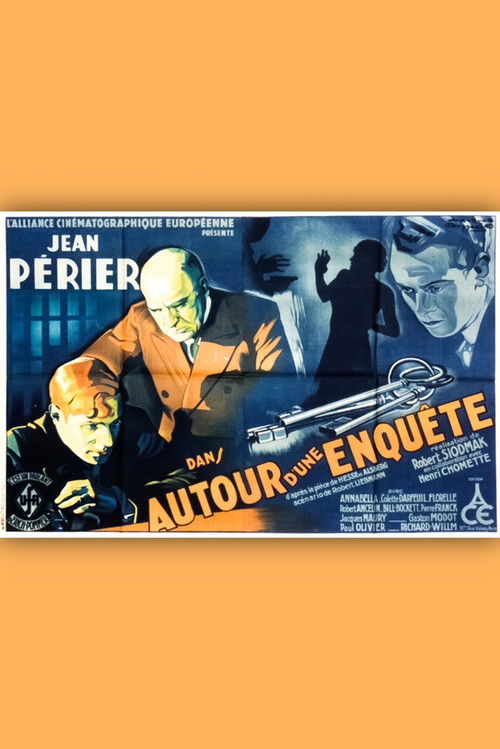 About an investigation (1931) poster