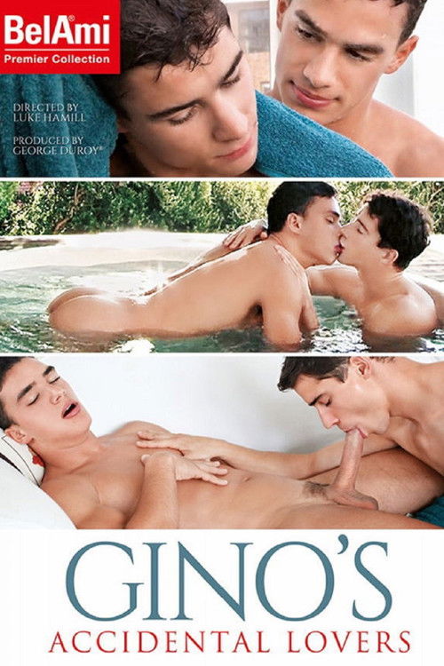 Gino's Accidental Lovers (2017) poster