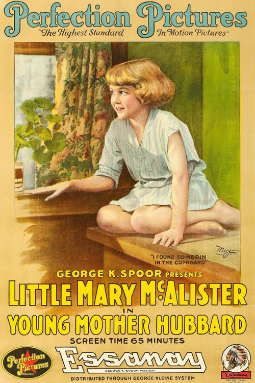 Young Mother Hubbard (1917) poster