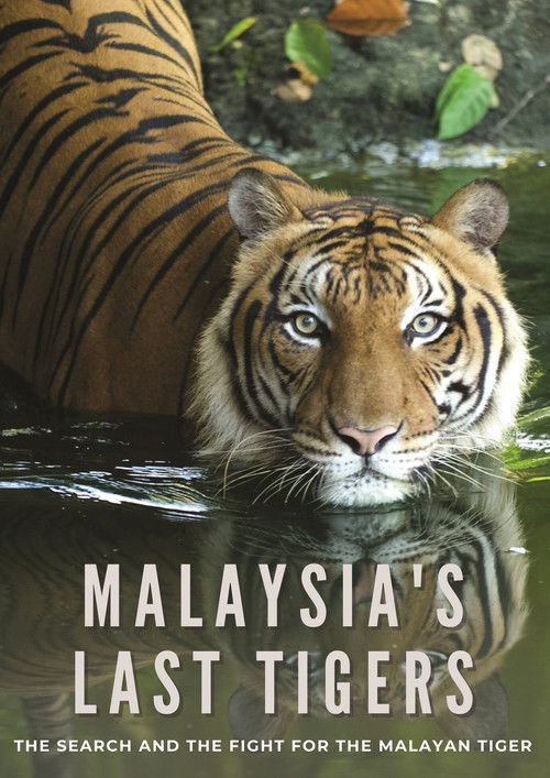 Malaysia's Last Tigers poster