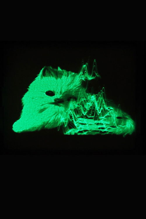 My Favorite Object (2019) poster