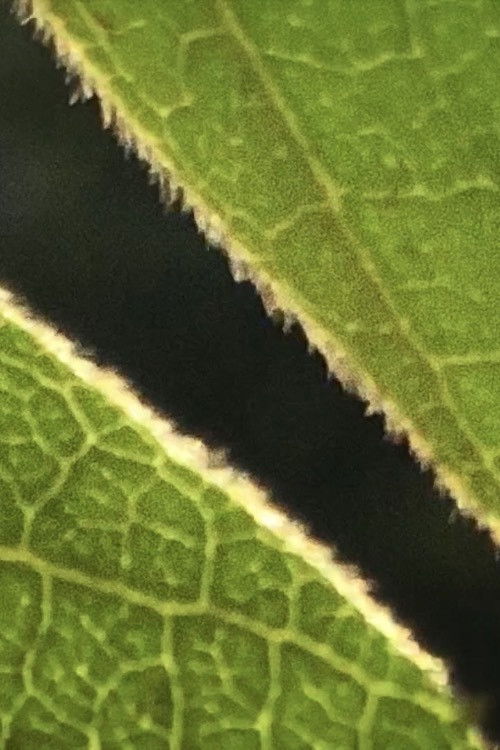 Reel 17 (2017) poster