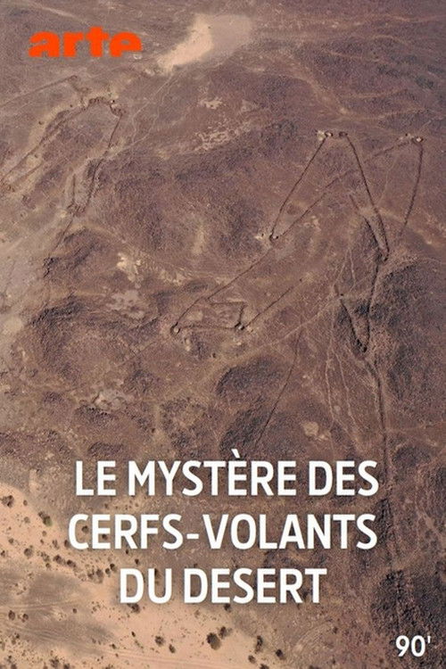 Le mystère des cerfs-volants du désert (2025) poster