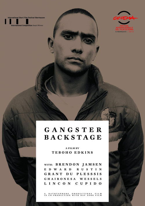 Gangster Backstage (2013) poster