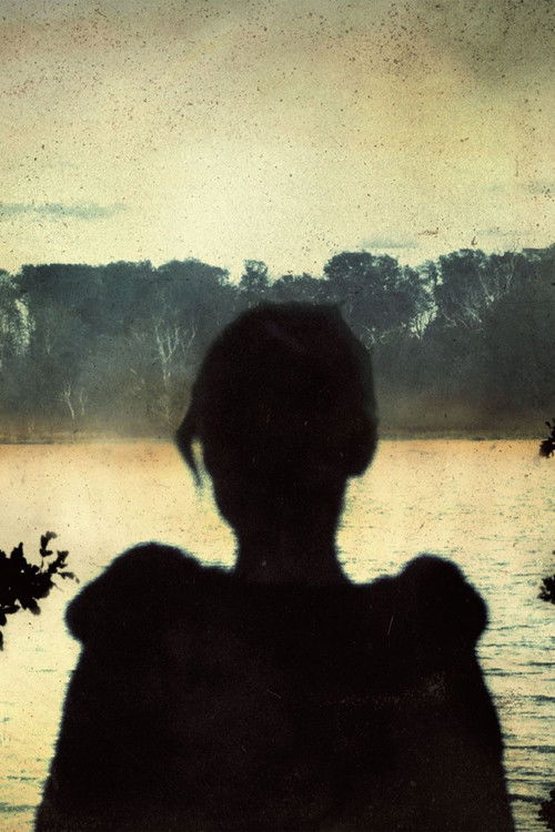 Porcupine Tree: Never Stop the Car on a Drive in the Dark (2023) poster