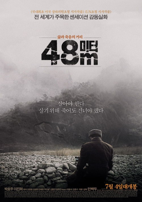48m (2013) poster