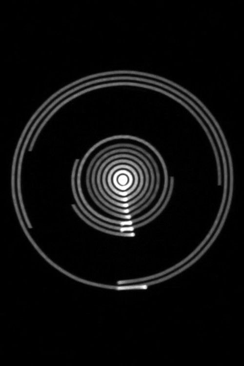 White Light/White Heat (2011) poster