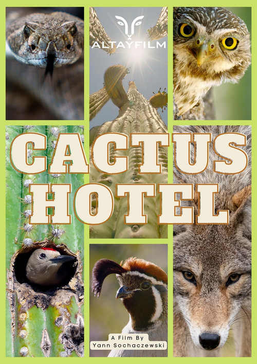 Kaktus Hotel (2023) poster