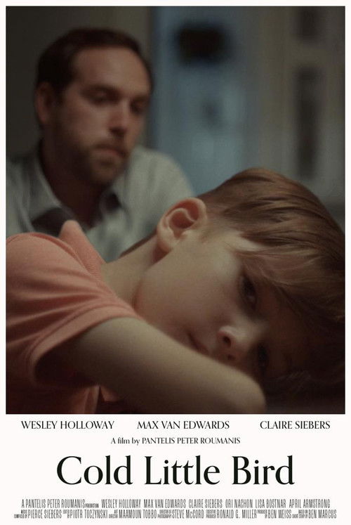Cold Little Bird (2022) poster