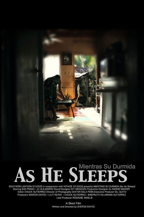 As He Sleeps (2012) poster