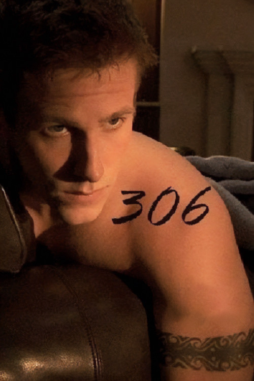 306 (2010) poster