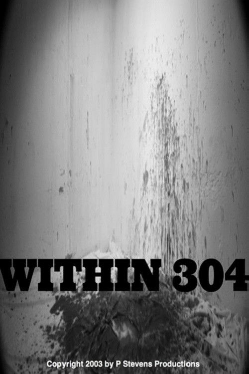 Within 304 (2003) poster