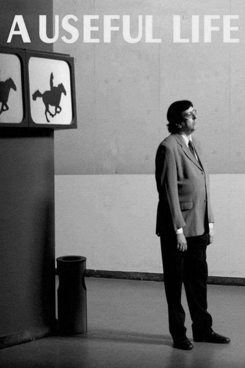 La vida útil (2010) poster