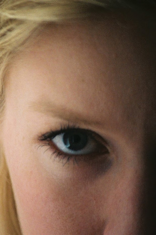 The Deafening Silence of a Very Bright Light (2009) poster