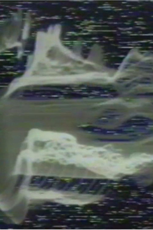 C-Trend (1974) poster