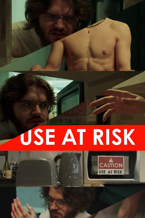 Use At Risk (2025) poster
