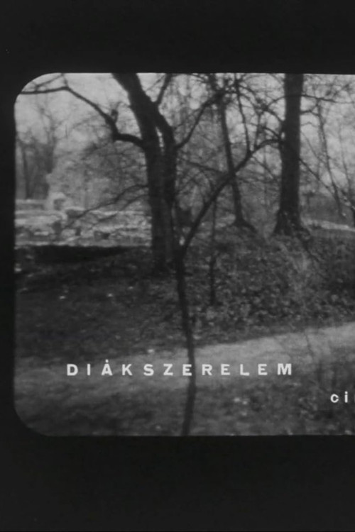 Diákszerelem (1968) poster
