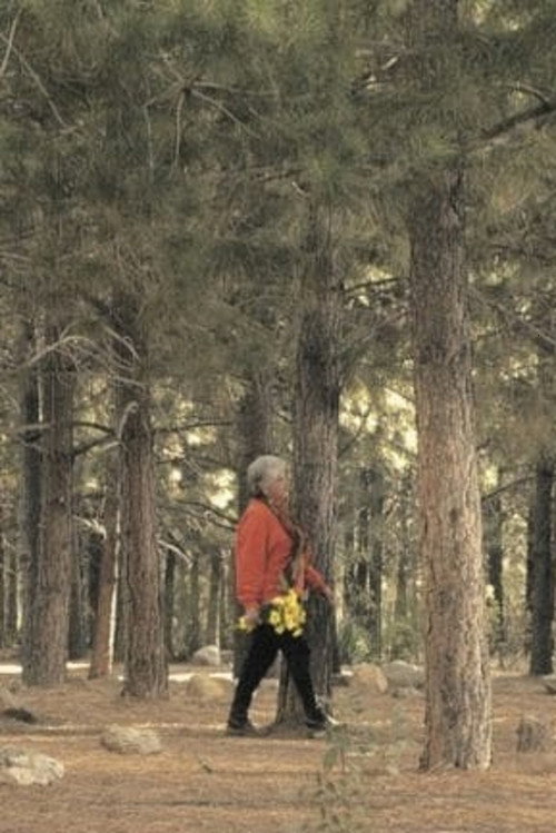 The Path (2002) poster