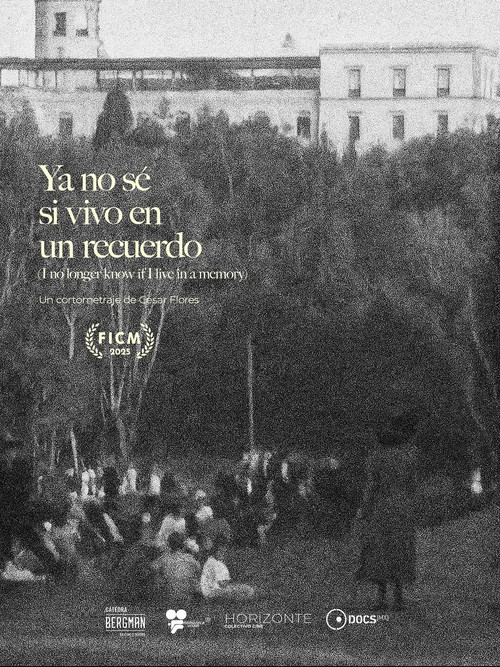 Ya no sé si vivo en un recuerdo poster