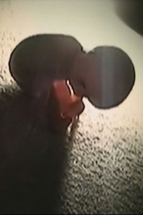 Der Puppenschänder II (2000) poster