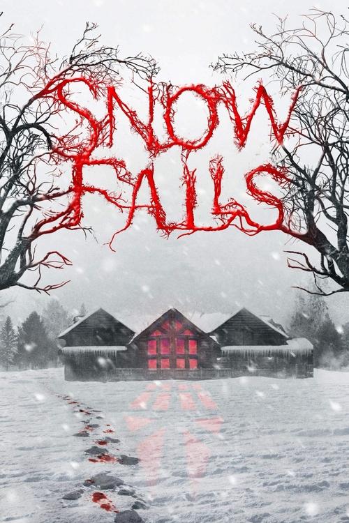 Snow Falls (2023) poster