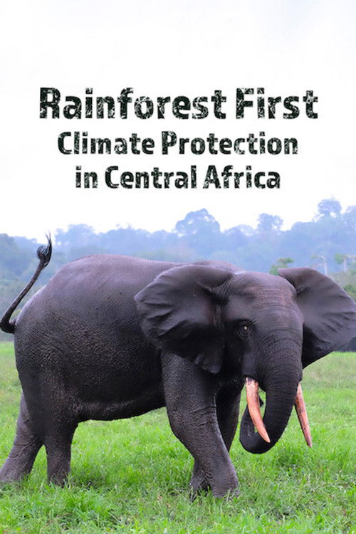 Rainforest First: Climate Protection in Central Africa (2022) poster