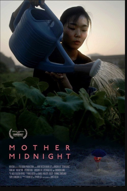Mother Midnight (2022) poster