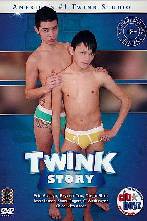 Citi Boyz 64: Twink Story (2011) poster