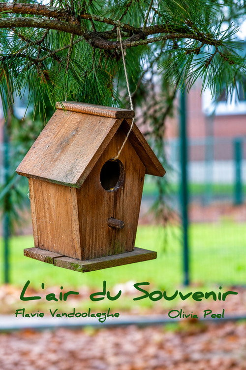 L'air du Souvenir (2026) poster