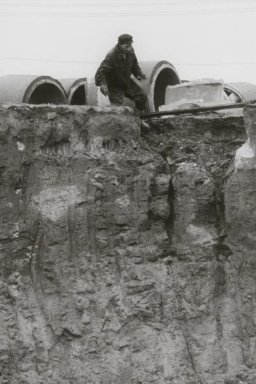 O.N.C. (1980) poster