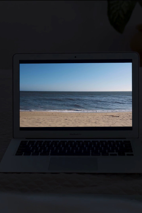 Panoramic Sleights (2020) poster