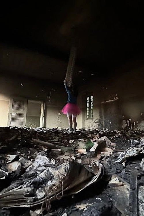 -Pursuit.Imo.Dolio.: Da Briciola a Pane (2023) poster