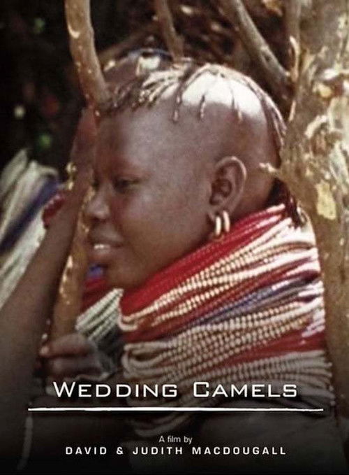 The Wedding Camels (1980) poster