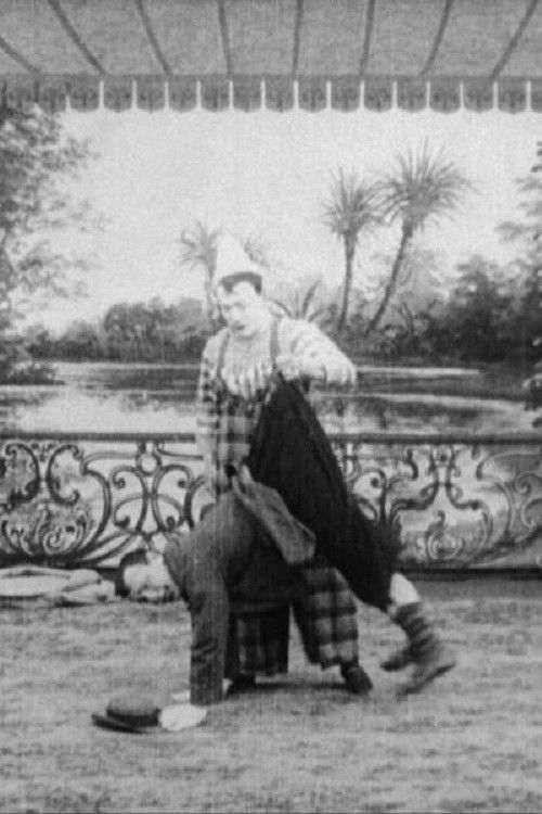 The Magic Bag (1907) poster