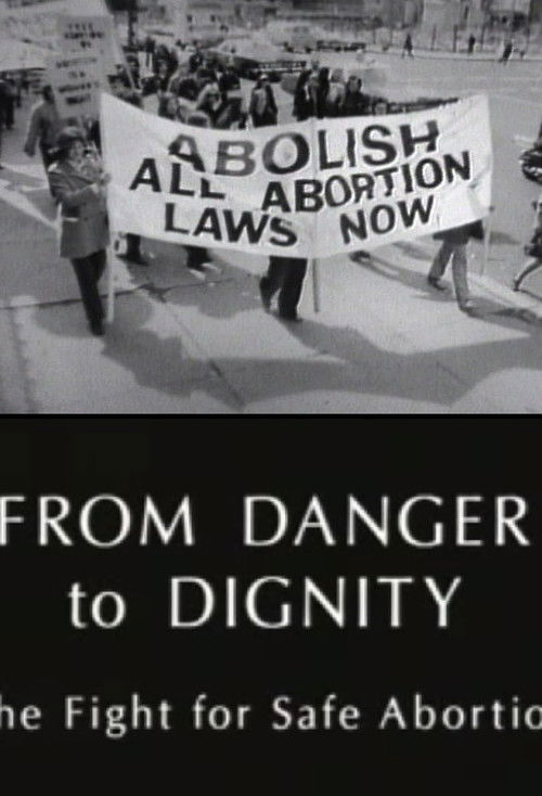 From Danger to Dignity: The Fight For Safe Abortion (1995) poster
