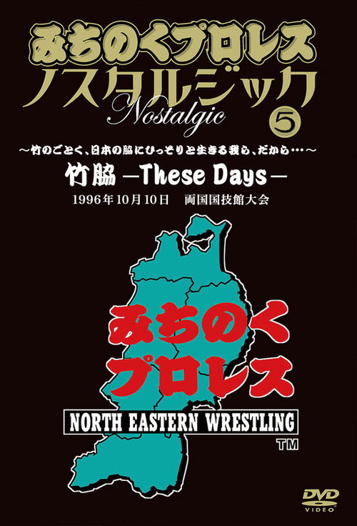 Michinoku Pro 3rd Anniversary: These Days (1996) poster