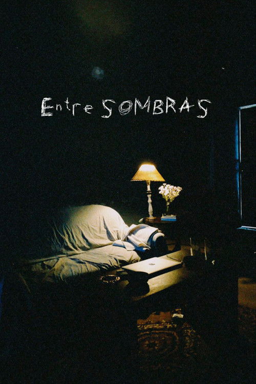Entre sombras (2022) poster
