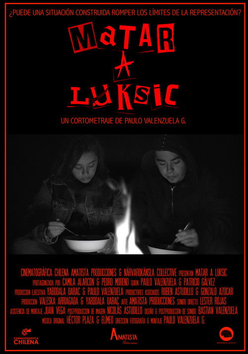 Matar a Luksic poster