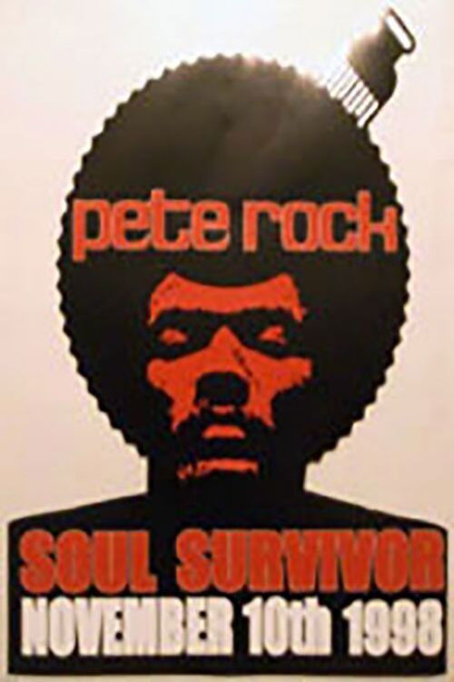 Pete Rock: Soul Survivor (1998) poster
