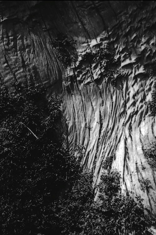 Black River (2017) poster