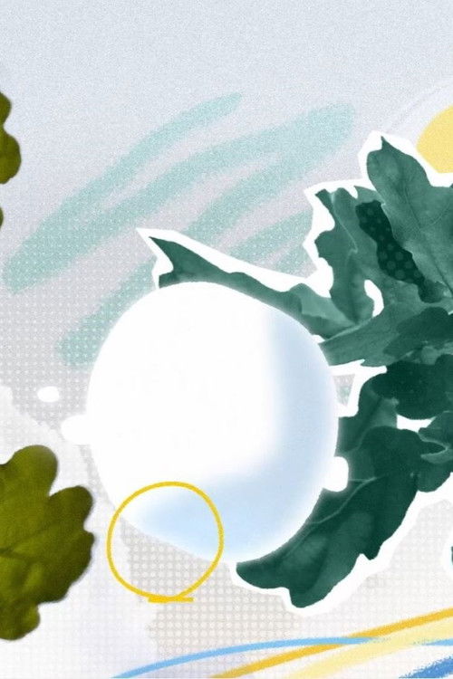 New Vibes (2024) poster