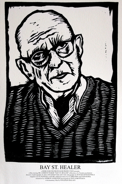 Bay Street Healer poster