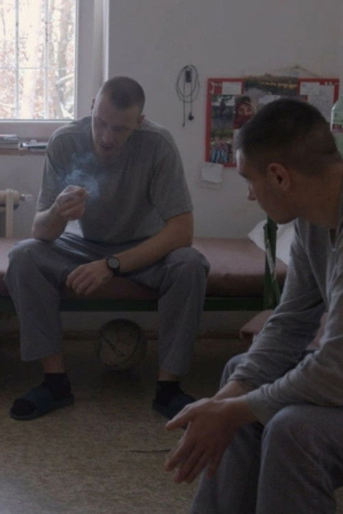 Konfrontace (2024) poster